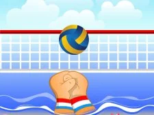 ballon de volley-ball